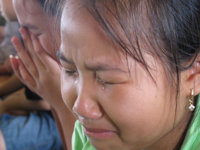 Hà Nội: Bài học từ “Cuộc đời đức Phật” và giá trị của tình bạn từ khóa tu tại chùa Nam Dư Thượng