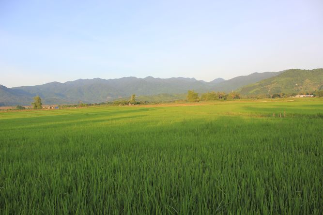Khánh Hòa: ĐĐ. Thích Lệ Minh và pháp thoại “Tình thương” tại khóa tu “Ơn nghĩa sinh thành”