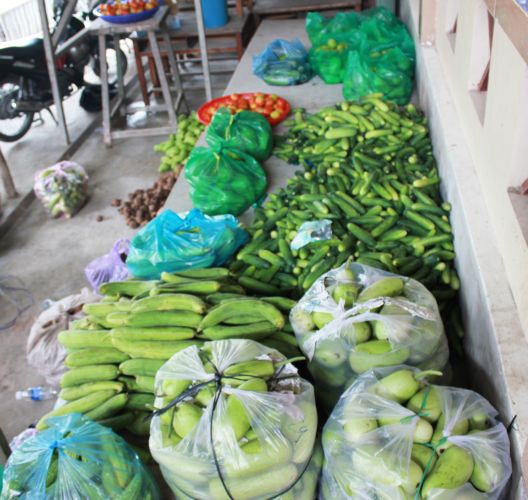 Long An: Nhật ký trước khóa tu “Sống và Khát Vọng”