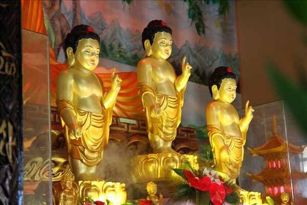 Ngày Thứ 1 Khóa Tu Mùa Đản Sinh, Chủ Đề : “ Phật Về”