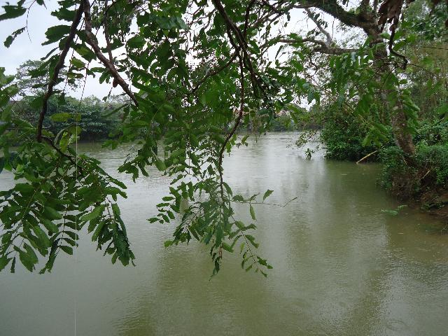 Chờ Bão Haiyan Số 14