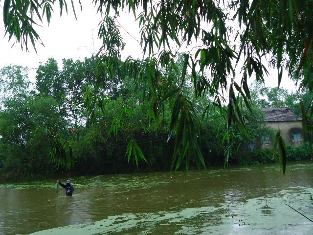Chờ Bão Haiyan Số 14