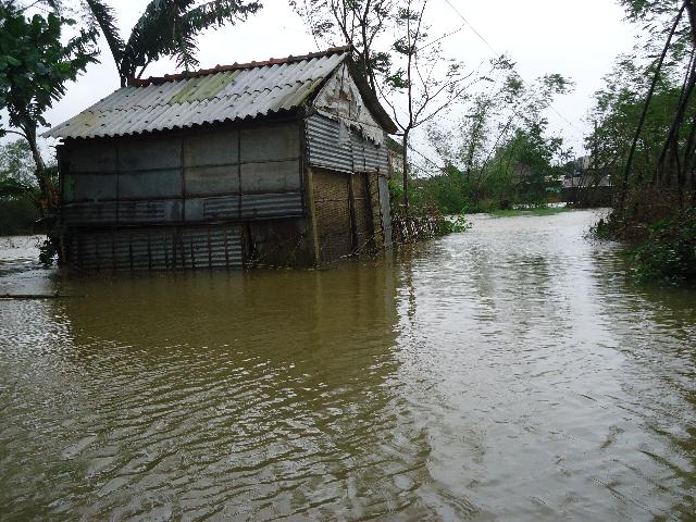 Chờ Bão Haiyan Số 14
