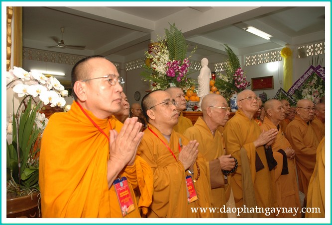 Chùm ảnh: Ban trị sự GHPGVN TP. HCM viếng giác linh HT. Thích Đạt Đạo