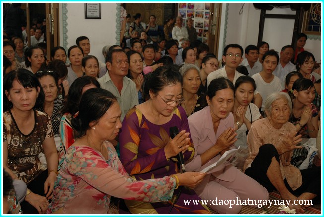 TP. HCM: Chùm ảnh lễ dâng y Kathina tại chùa Phổ Minh - Gò Vấp