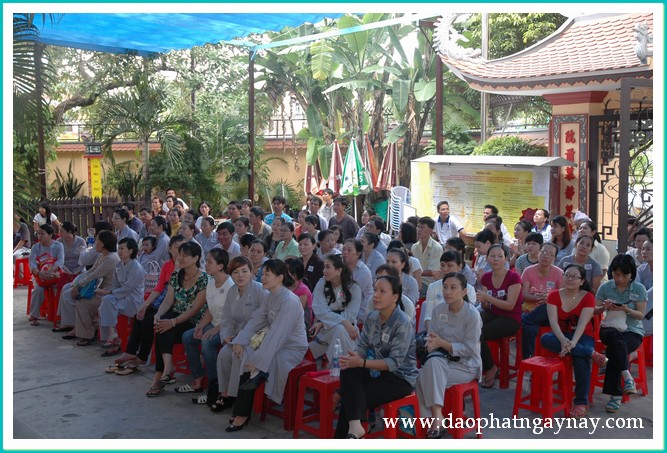 Khóa tu Gieo Hạt Từ Tâm 17: Mẹ yêu