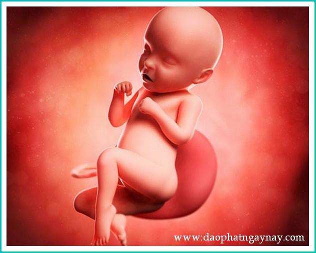 Khóa tu Gieo Hạt Từ Tâm 18: Xin đừng bỏ con