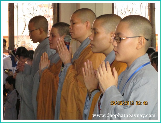 Khóa tu Gieo Hạt Từ Tâm 17: Mẹ yêu