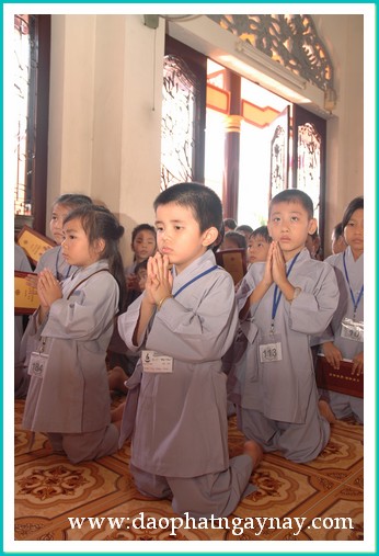 Khóa tu Gieo Hạt Từ Tâm 17: Mẹ yêu