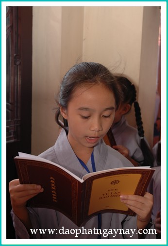 Khóa tu Gieo Hạt Từ Tâm 17: Mẹ yêu