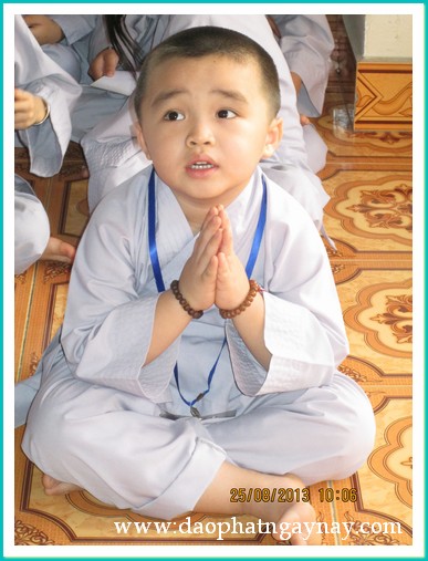 Khóa tu Gieo Hạt Từ Tâm 17: Mẹ yêu