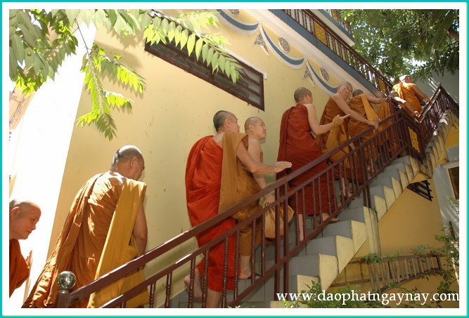 TP. HCM: Lễ húy nhật lần thứ 29 cố HT. Giới Nghiêm