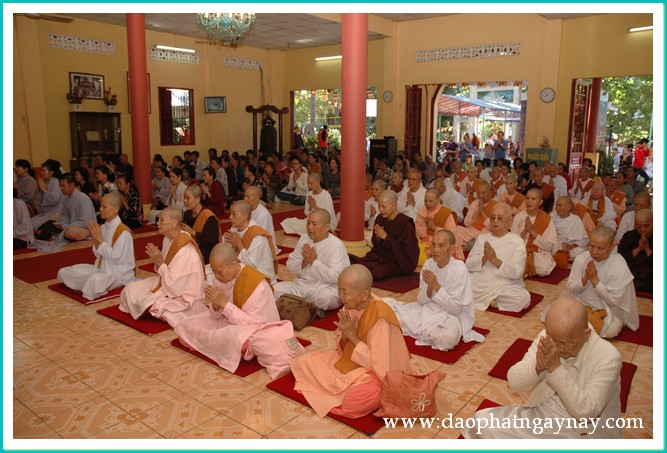 TP. HCM: Sinh hoạt an cư kiết hạ Phật giáo Nam Tông người Kinh