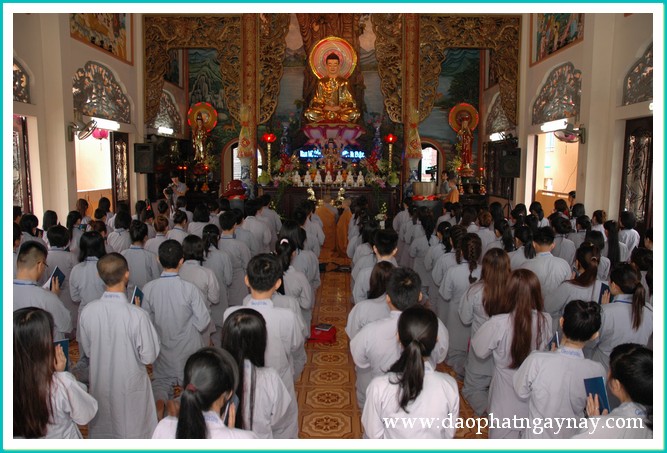 Khóa tu Gieo Hạt Từ Tâm 18: Xin đừng bỏ con