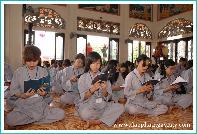 Khóa tu Gieo Hạt Từ Tâm 18: Xin đừng bỏ con