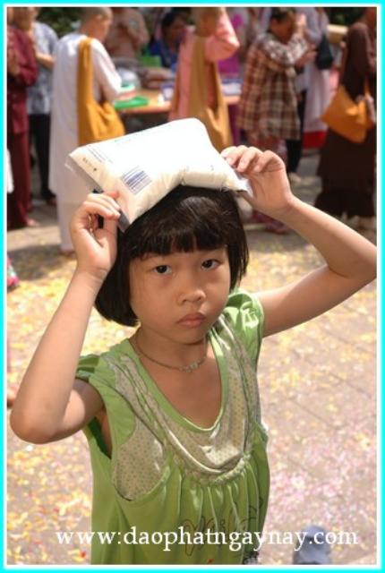 Vũng Tàu: Chùm Ảnh: Đại Lễ Dâng Y Kathina Tại Chùa Thiền Lâm
