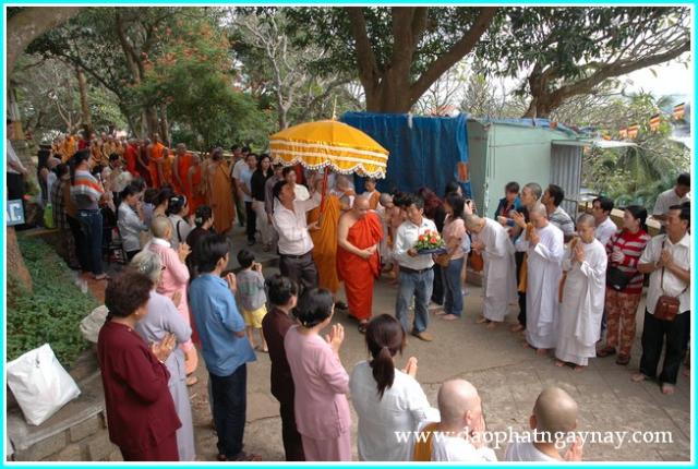 Vũng Tàu: Chùm Ảnh: Đại Lễ Dâng Y Kathina Tại Chùa Thiền Lâm