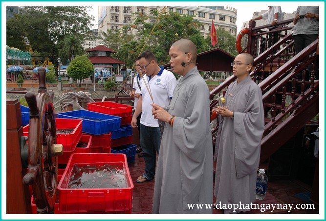 Khóa tu Gieo Hạt Từ Tâm 18: Xin đừng bỏ con