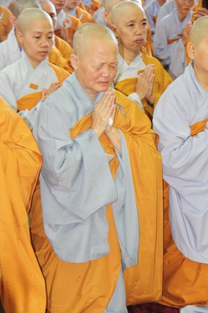 Hình Ảnh Cung Thỉnh Linh Mô Ni Trưởng Hải Triều Âm Tham Phật Yết Tổ