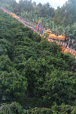 Hình Ảnh Cung Thỉnh Linh Mô Ni Trưởng Hải Triều Âm Tham Phật Yết Tổ