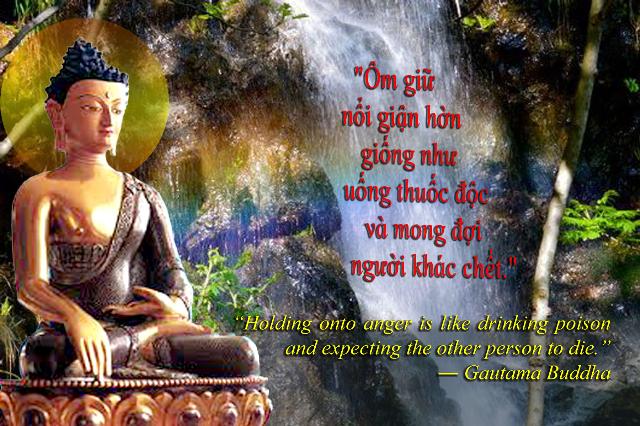 GIÁO LÝ TRÍCH LỤC (III)