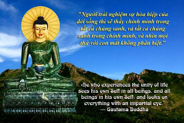 GIÁO LÝ TRÍCH LỤC (III)