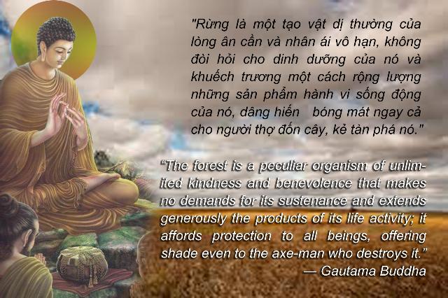 GIÁO LÝ TRÍCH LỤC (III)