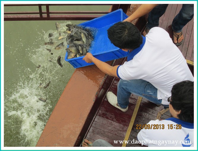 Khóa tu Gieo Hạt Từ Tâm 18: Xin đừng bỏ con