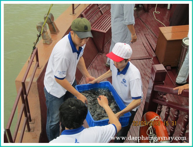 Khóa tu Gieo Hạt Từ Tâm 18: Xin đừng bỏ con