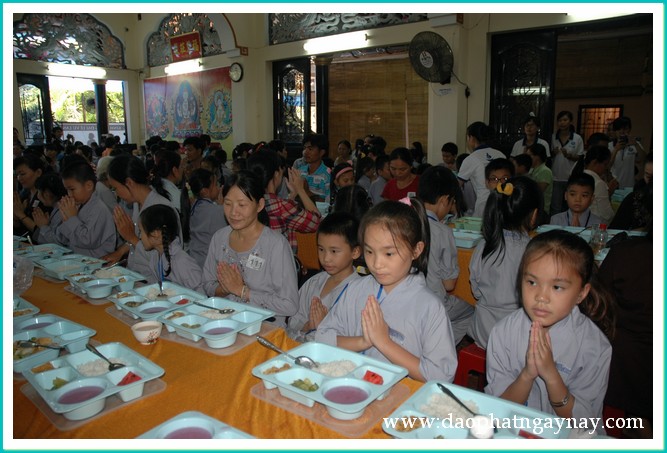 Khóa tu Gieo Hạt Từ Tâm 17: Mẹ yêu