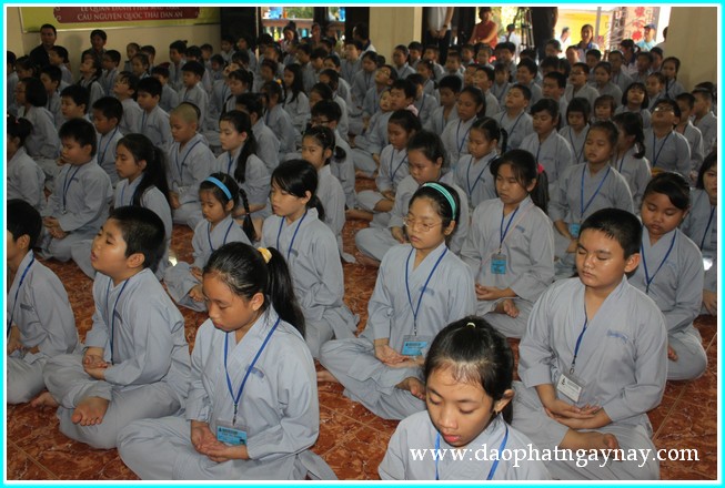 Khóa tu Gieo Hạt Từ Tâm 19: Bé yêu muôn loài