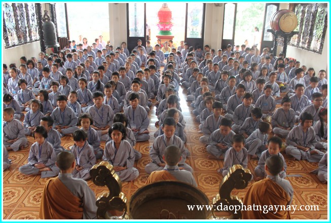 Khóa tu Gieo Hạt Từ Tâm 19: Bé yêu muôn loài