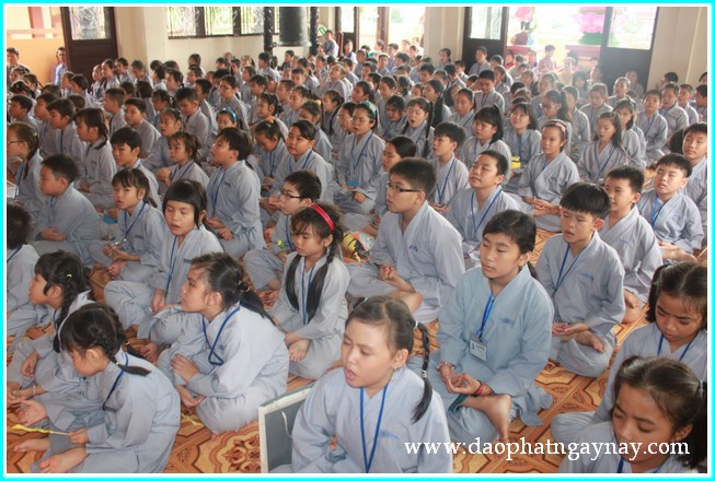 Khóa tu Gieo Hạt Từ Tâm 19: Bé yêu muôn loài