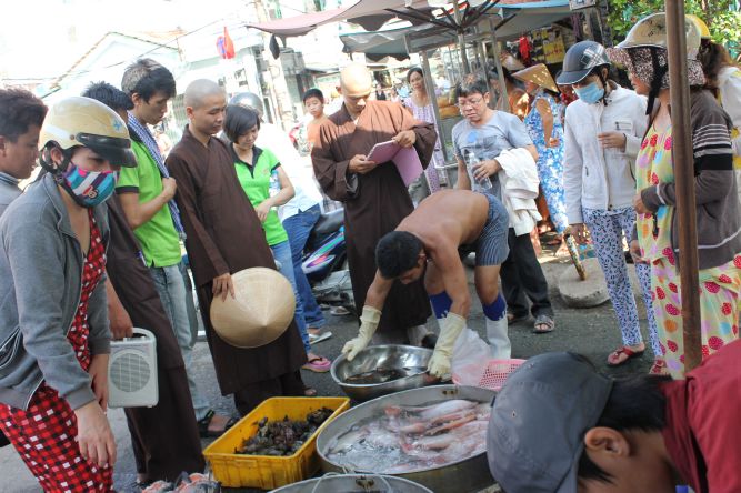 Long An: Đại lễ phóng sanh tại khóa tu “Điểm tựa đời con”