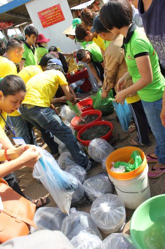 Long An: Đại lễ phóng sanh tại khóa tu “Điểm tựa đời con”