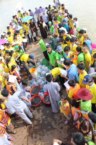 Long An: Đại lễ phóng sanh tại khóa tu “Điểm tựa đời con”