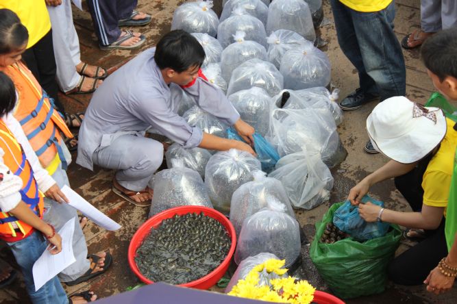 Long An: Đại lễ phóng sanh tại khóa tu “Điểm tựa đời con”
