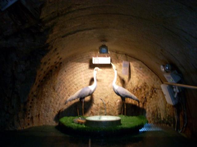 Hàn Quốc : Chuông hoà bình ở khu vực phi quân sự DMZ