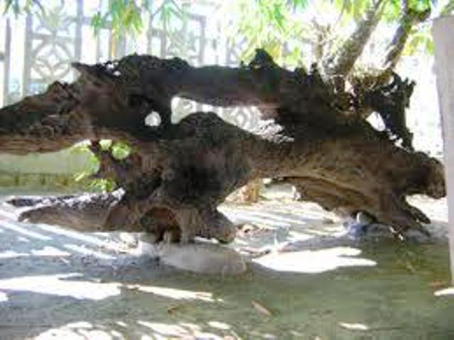 Chùa Linh Phong: Bên dòng suối Tiên Du - Ninh Hòa