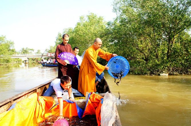 HỘI 14 CHỮ : PHÓNG SINH – TỪ THIỆN – HOA ĐĂNG – TU HỌC