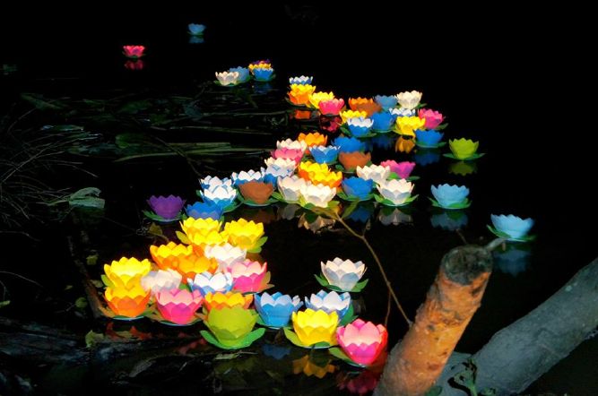 HỘI 14 CHỮ : PHÓNG SINH – TỪ THIỆN – HOA ĐĂNG – TU HỌC