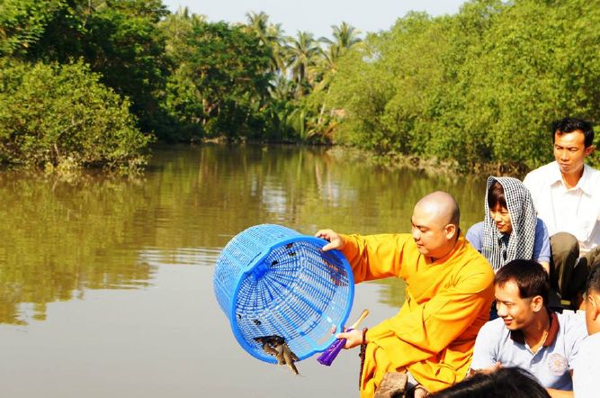 HỘI 14 CHỮ : PHÓNG SINH – TỪ THIỆN – HOA ĐĂNG – TU HỌC