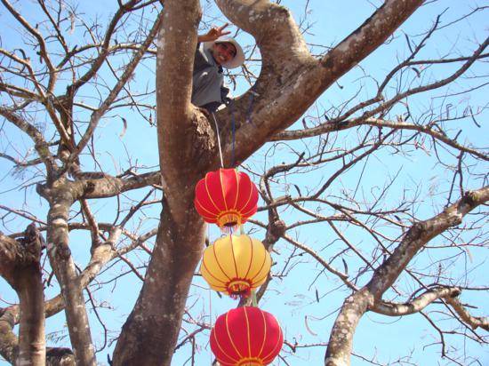 Đăk Nông: công tác chuẩn bị Đại lễ Thành đạo tại chùa Pháp Hoa