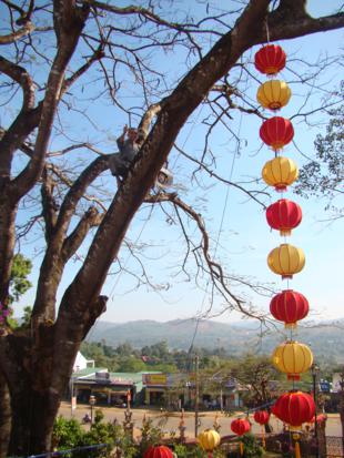 Đăk Nông: công tác chuẩn bị Đại lễ Thành đạo tại chùa Pháp Hoa