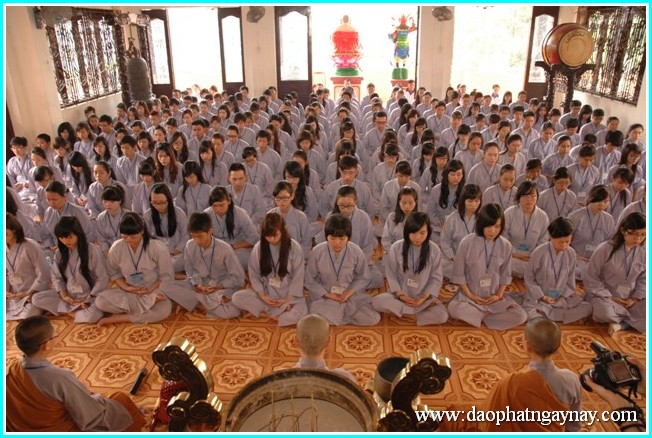 Khóa tu Gieo Hạt Từ Tâm 22 với chủ đề Sắc Xuân