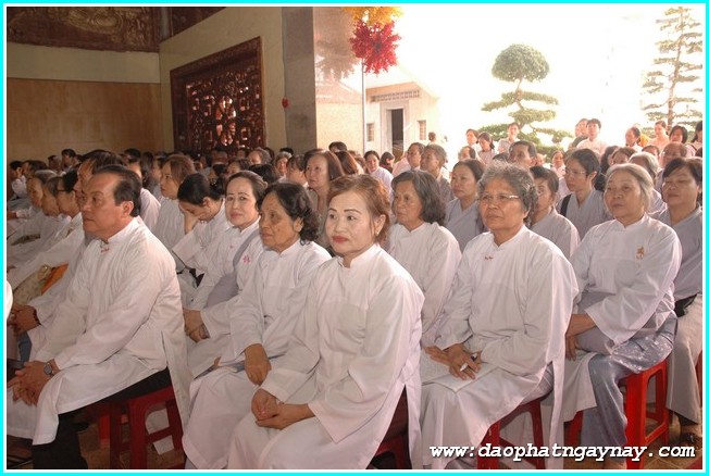 TP. HCM: Hội thảo hệ phái Khất Sĩ - Khai mạc thư viện - triển lãm Ánh Minh Quang