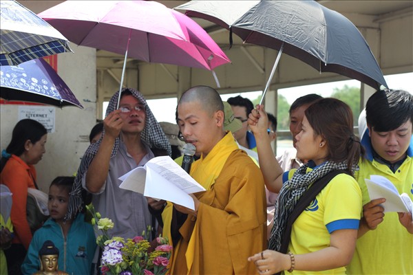 Chùa Khánh Ninh: Hành trình giải phóng các loài thủy tộc