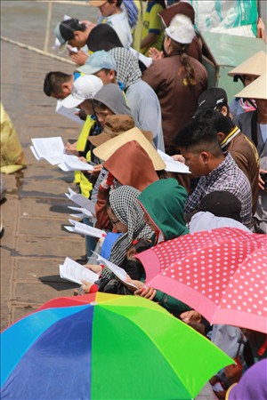 Chùa Khánh Ninh: Hành trình giải phóng các loài thủy tộc