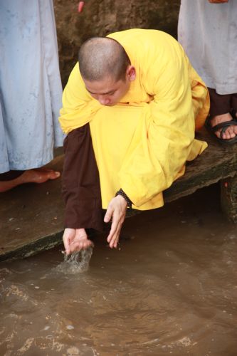 Đồng Tháp: Lễ phóng sanh tại khóa tu chùa Hoa Lâm