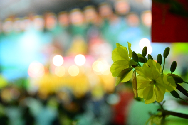 Chùm ảnh: Lễ đón giao thừa Giáp Ngọ 2014 tại chùa Giác Ngộ
